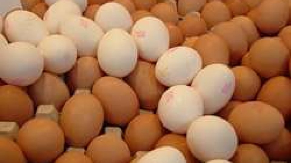 Cc sequestrano 35mila uova