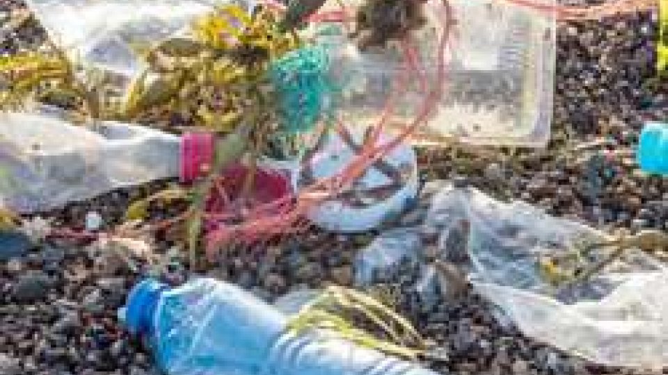 Lotta alla plastica: la segreteria al territorio sul World Environment Day