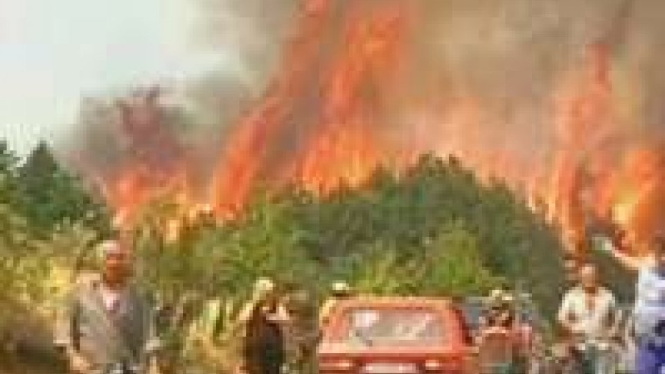 Siccità: Serbia colpita da incendi di vaste proporzioni