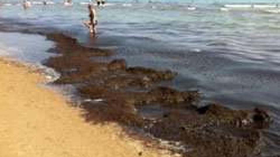 Rimini: una lunga scia di alghe nere non scoraggia i bagnanti
