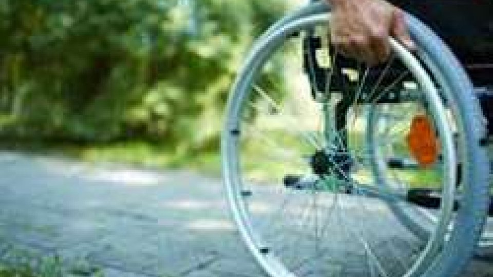 fondo per la disabilità