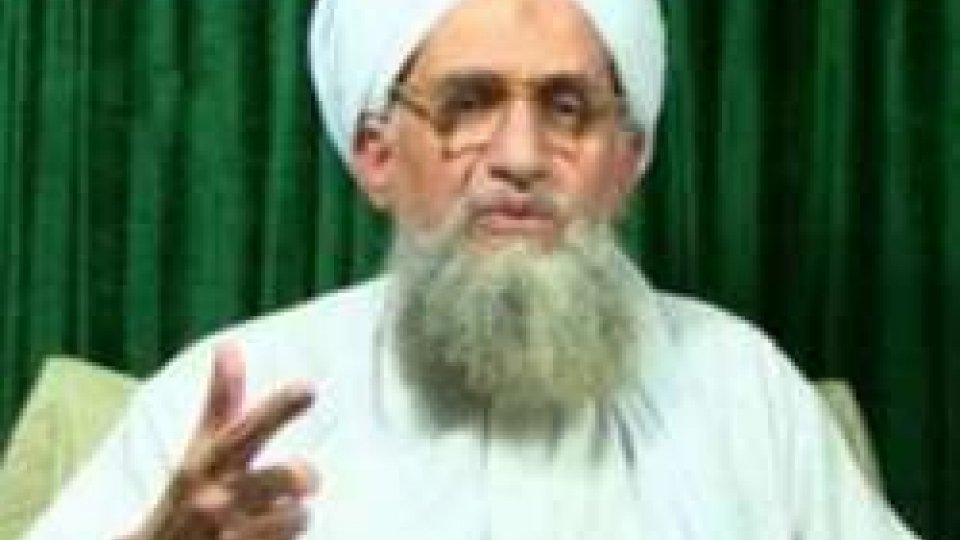 Zayman al Zawahiri, repertorio