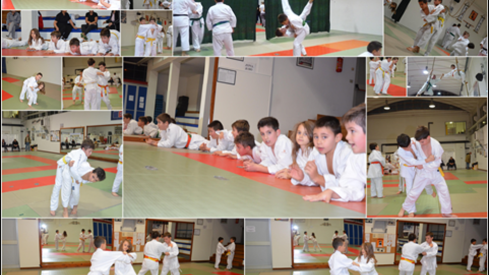 Il Judo Club San Marino al “Natale col Judo 2012”