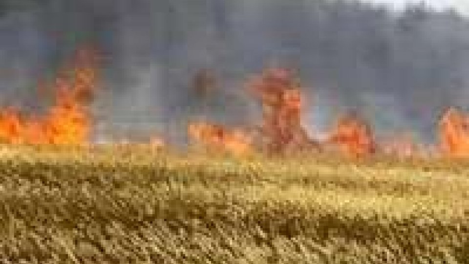 Russia: bruciati 20 milioni di raccolto