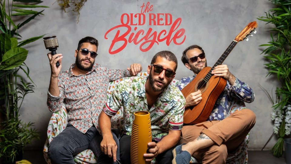 The Old Red Bicycle