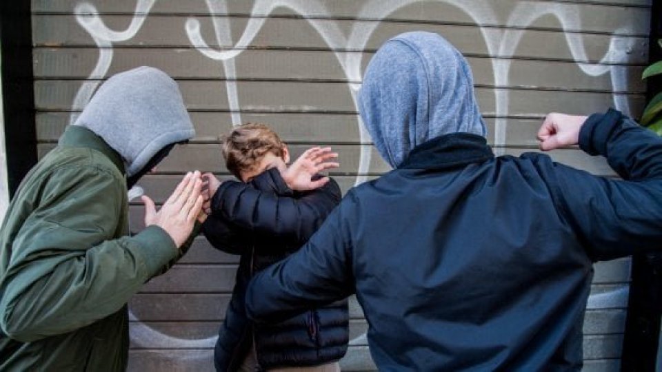 Ravenna: 15 minori denunciati per bullismo