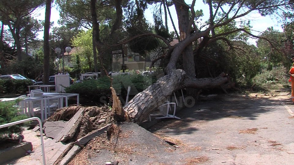 Milano Marittima: amputata gamba a 57enne colpita da albero caduto