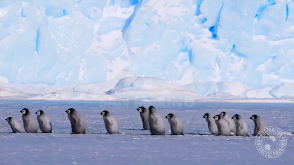 L'entroterra antartico che si sta assottigliando a ritmi 5 volte più veloci rispetto a 25 anni fa