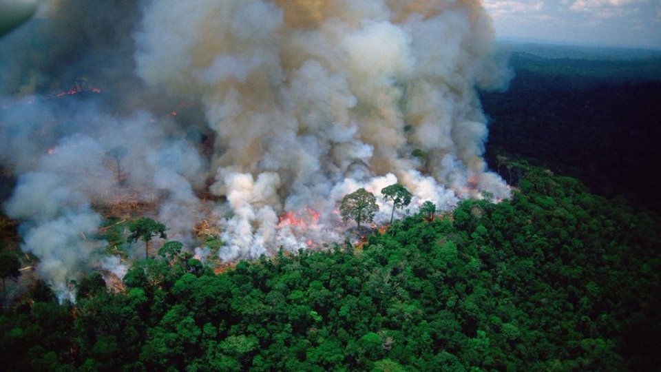 Le fiamme in Amazzonia. Foto twitter