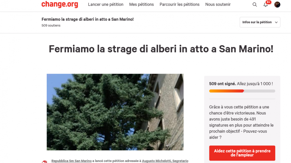 Porta del Paese: si chiude oggi, con 509 firme, la petizione per evitare l'ennesimo abbattimento di alberi in via Paolo III/Capuccini.