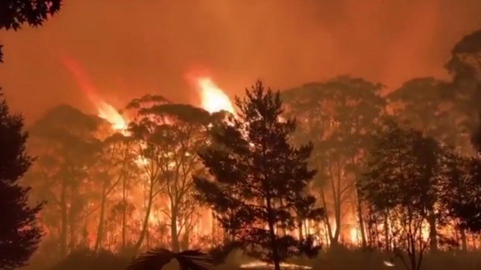 Caldo e incendi: dicembre di fuoco in Australia