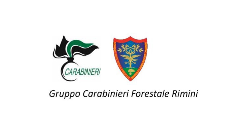 Forestale Rimini: "Vietate le focheracce"