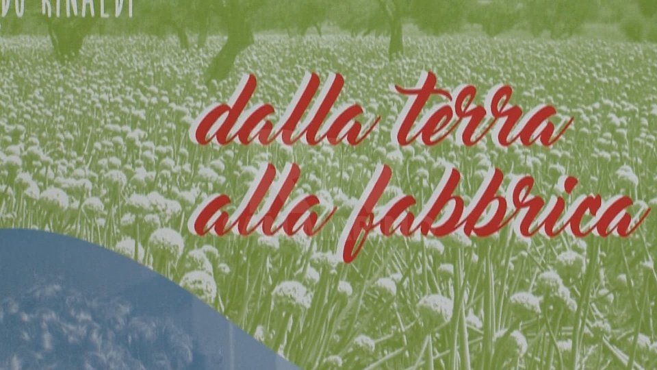 "Dalla terra alla Fabbrica": ecco il calendario 2021 che la coppia Ugolini-Rinaldi ha dedicato a San Marino