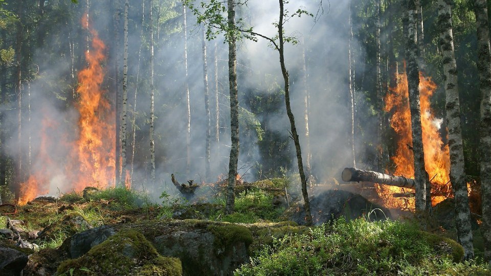 Protezione civile. In Emilia-Romagna ancora alto il rischio di incendi boschivi, prorogato fino al 29 agosto lo stato di ‘grave pericolosità’
