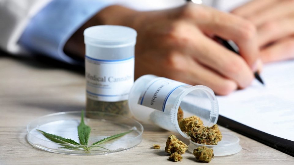 L'Iss sui prodotti "non farmaci": "Le sostanze del gruppo cannabis sono vietate per legge"