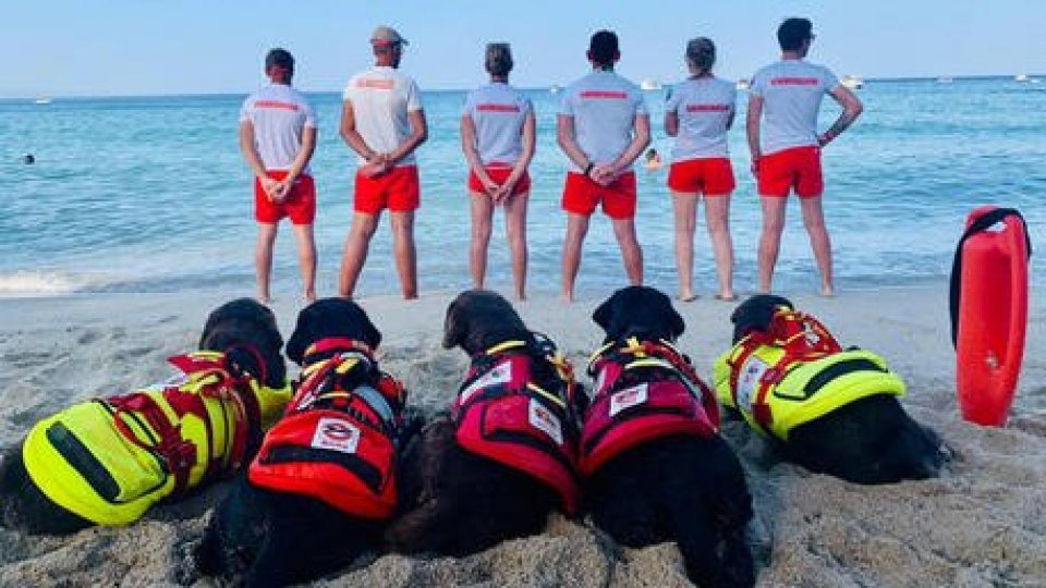 Foto dalla pagina instagram della Sics, Scuola italiana cani salvataggio