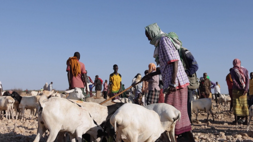 Siccità e guerra: Somalia prossima alla fame