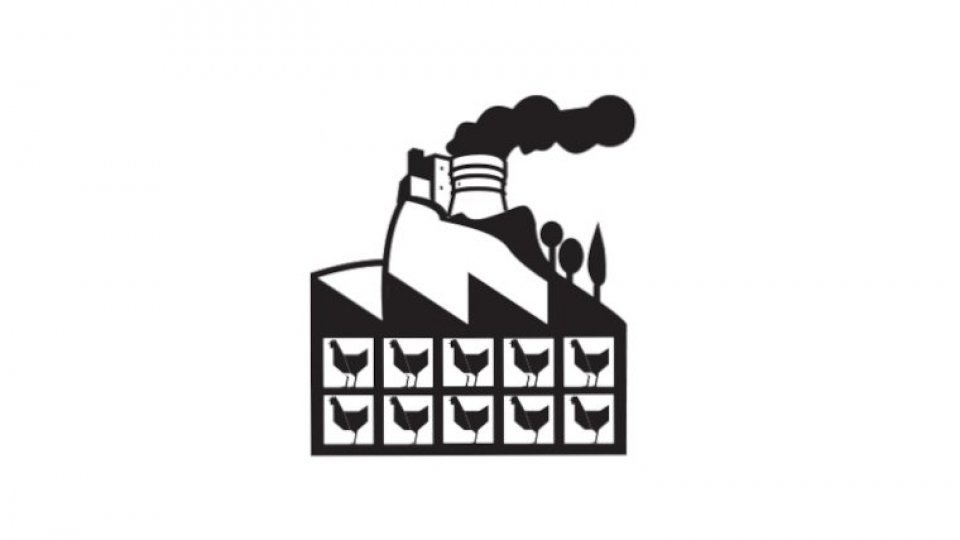 Comitato per la Valmarecchia: "Chiediamo di rendere pubblici gli atti sulla bonifica dell’amianto nel cantiere per la nascita del nuovo allevamento Fileni alla Cavallara di Maiolo"