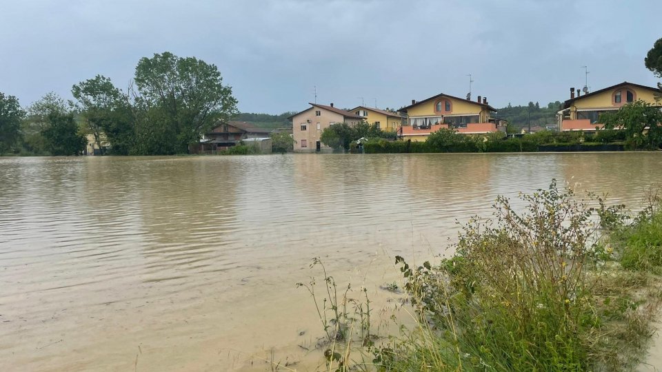 Confagricoltura Forlì-Cesena Rimini "migliaia di ettari sotto'acqua, danni per oltre 1.5miliardi”
