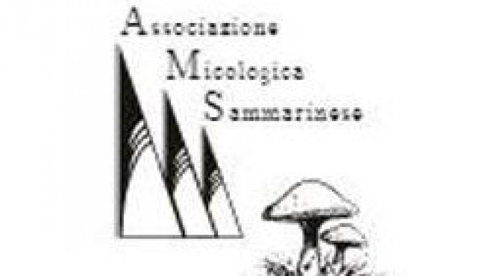 Associazione Micologica Sammarinese: Basta devastare il territorio