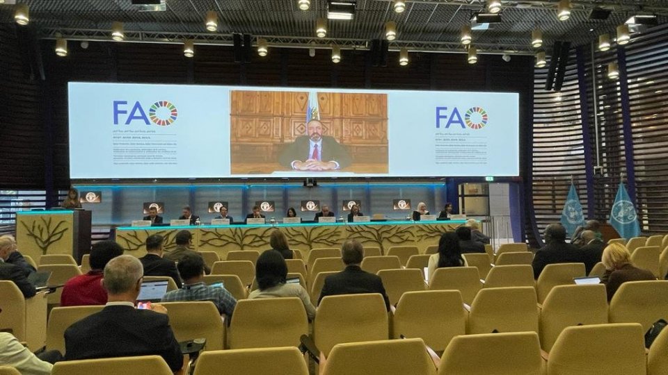 Intervento del Segretario di Stato per gli Affari Esteri alla FAO
