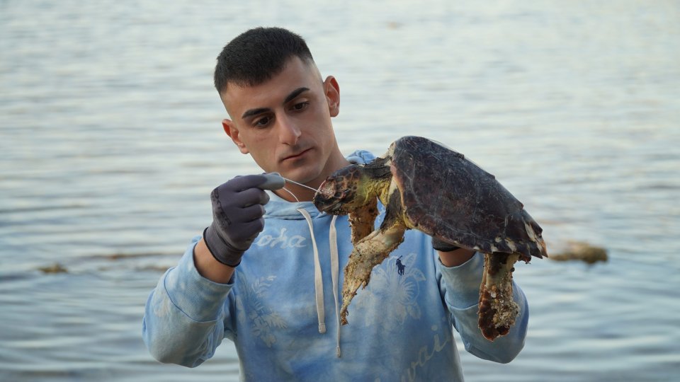 SOS tartarughe: l’ambientalista Sebastian Colnaghi sottolinea l’urgenza di ridurre l’uso della plastica dopo la triste scoperta di una tartaruga marina senza vita