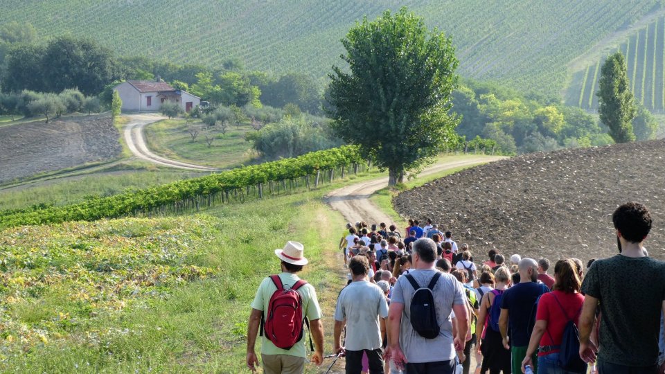 Bambini sentinelle della natura, sabato 29 giugno appuntamento con il Carnevale creativo delle Api