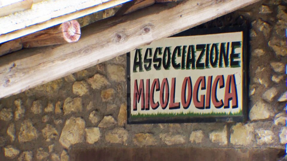 Micologica: "Ancora nessun piano di gestione rifiuti, estendere tariffa puntuale con porta a porta"