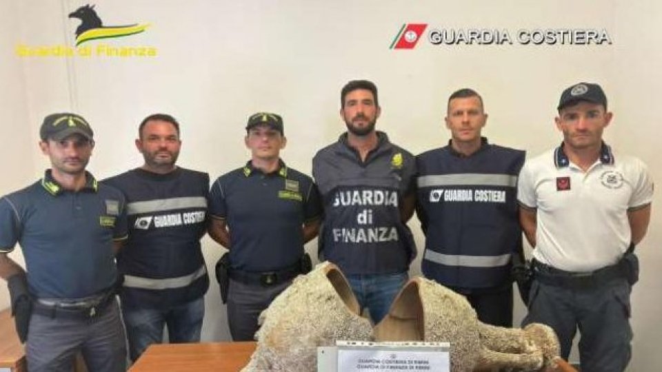 Anfora di origine greco romana in casa: scatta sequestro e denuncia per un ristoratore