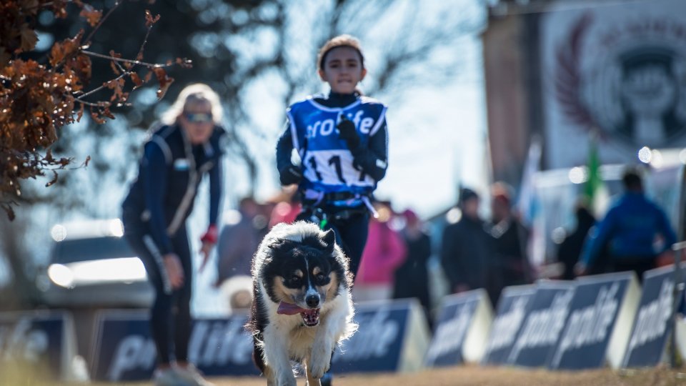 A San Marino il primo Dog Day