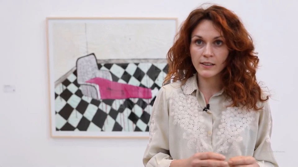 Nel servizio l'intervista a Priscilla Beccari (Artista)