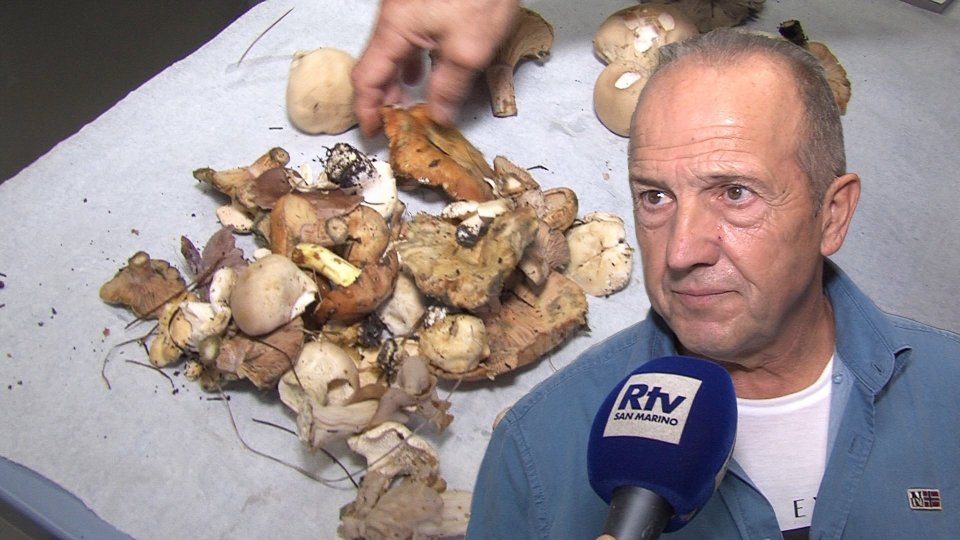 Nel servizio l'intervista a Sante Vagnetti (Presidente Associazione Micologica Sammarinese)