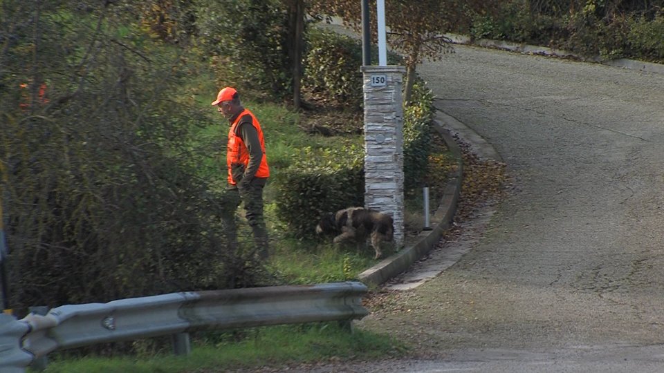 Federazione Sammarinese caccia: parte quella ai cinghiali