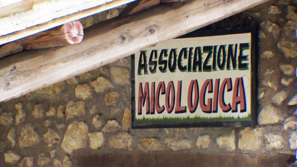 Associazione Micologica: cosa si è perso in questi decenni sulle tematiche ambientali