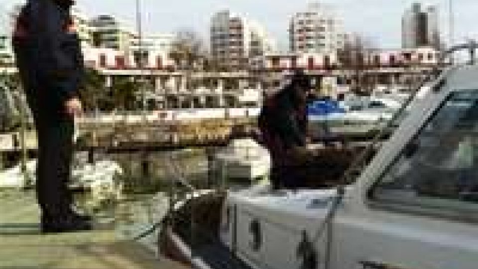 Rimini e provincia: rilasciati in mare 60 Kg di pescato