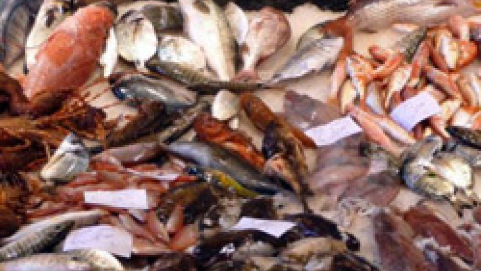 Controlli in ristoranti etnici: sequestrati 40 kg di pesce