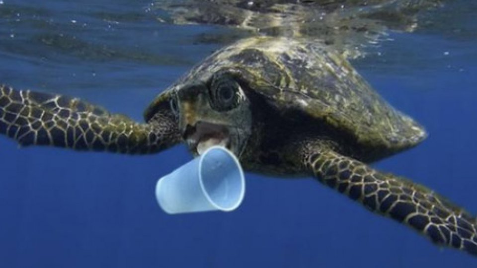 Lotta alla plastica, ministro Costa: “Tutti gli ecosistemi sono minacciati”