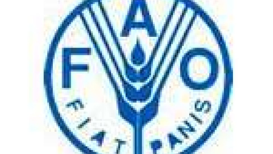 San Marino - La rappresentaza sammarinese partecipa alla conferenza FAO a Roma