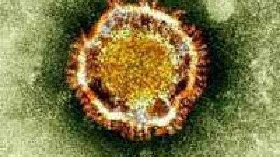 Nuova Sars: coronavirus si trasmette da persona a persona
