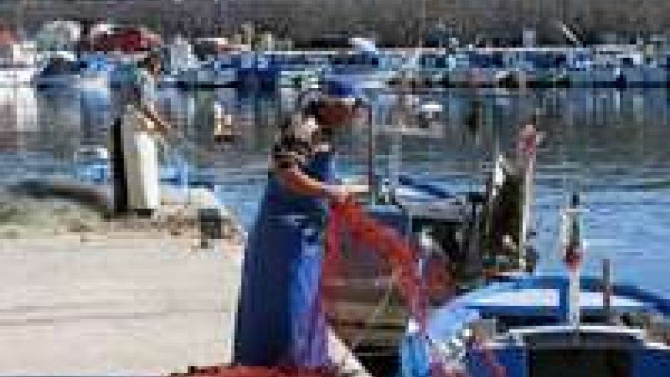 Dal 16 luglio fino al 27 agosto, stop al pesce fresco in tutto l’Alto Adriatico
