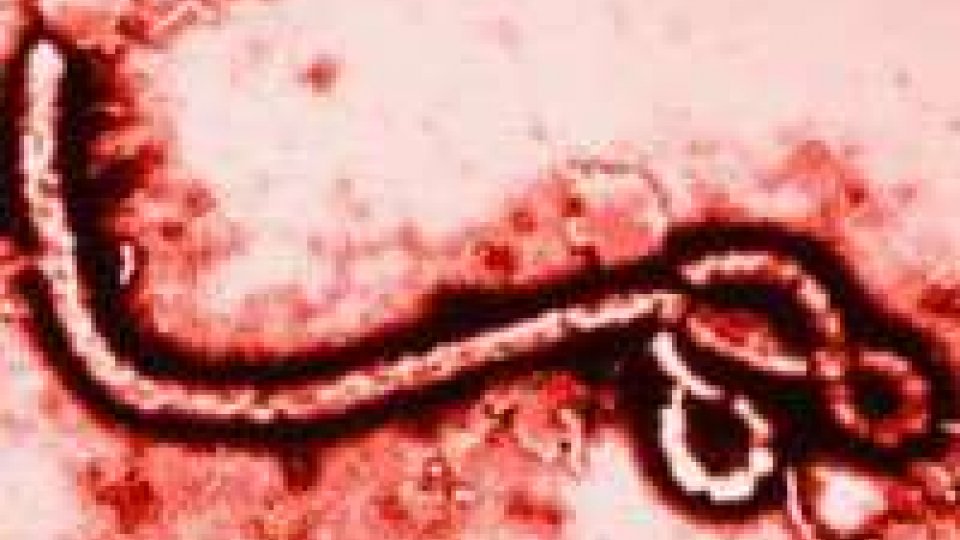 Ebola, caso sospetto nelle marche. La Regione attiverà le procedure del caso