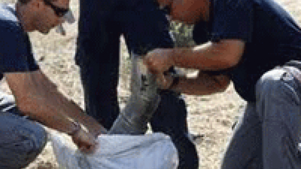 Israele: trovati resti razzo lanciato stanotte da Gaza