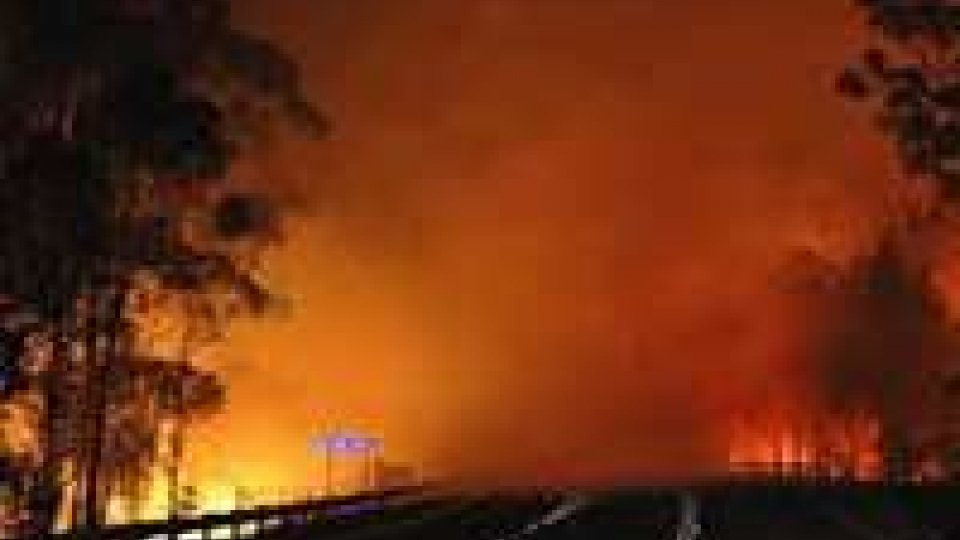 Incendi in Australia: emergenza nel Nuovo Galles del sud
