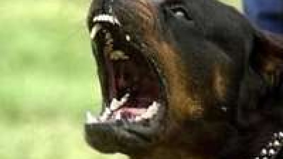 San Marino: aggressione di rottweiler nei confronti di altro cane