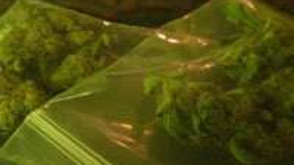 Morciano, 15 grammi di marijuana a scuola