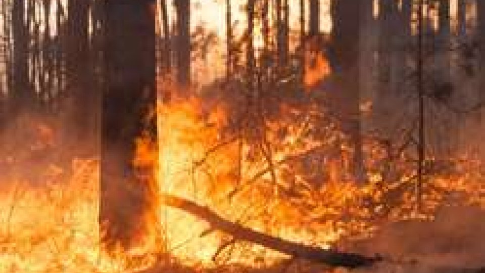 WWF ai comuni, aggiornare catasto incendi per reprimere usi impropri