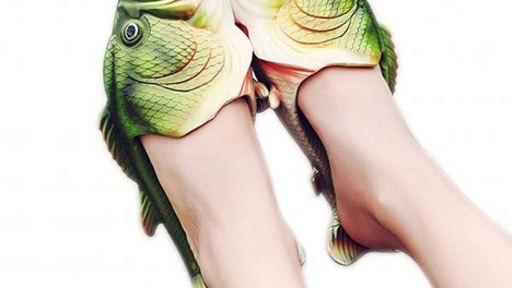 Pantofole fish