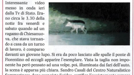 Repubblica.sm - 30/09/2019