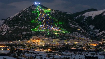 Qual è l'albero di Natale più grande al mondo?