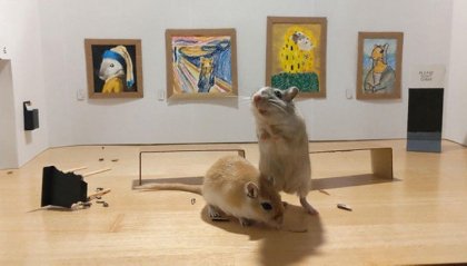 Coppia in quarantena costruisce un museo in miniatura per i suoi "gerbilli"
